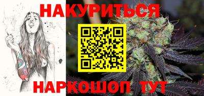 индика Лесосибирск