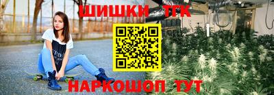 индика Лесосибирск