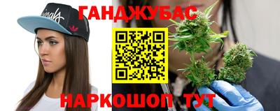 индика Лесосибирск
