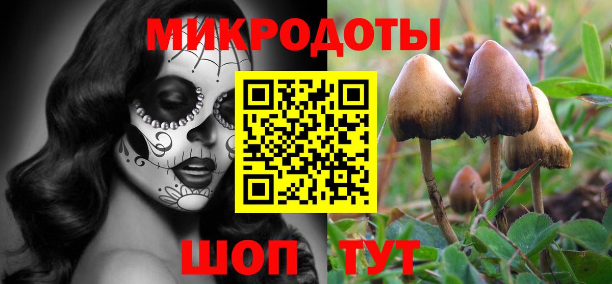 Тверь  Псилоцибиновые грибы мухоморы  Галлюциногенные грибы ЛСД  купить  сайты  Вход с VPN 